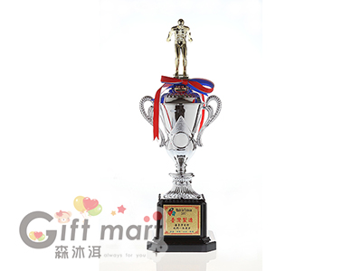 亞軍獎盃(銀盃)