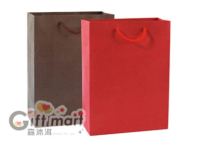 直式環保紙袋-22X30X10cm