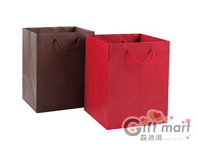 素色環保紙袋-22X28X21cm